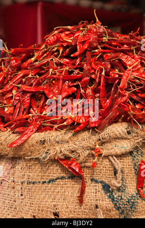 India Kerala, Calicut, Kozhikode, grande Bazaar, sacco di secchi peperoncino rosso sul display in grossista shop - dettaglio Foto Stock