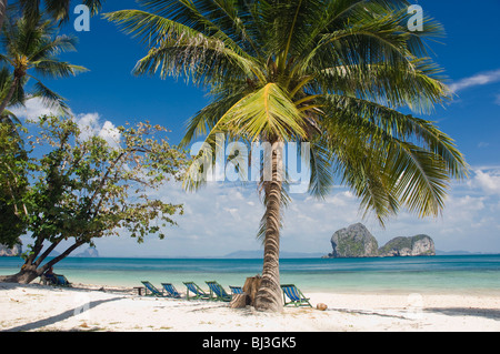 Palm Beach, Ko Hai o Koh Ngai island, Trang, Thailandia, Asia Foto Stock