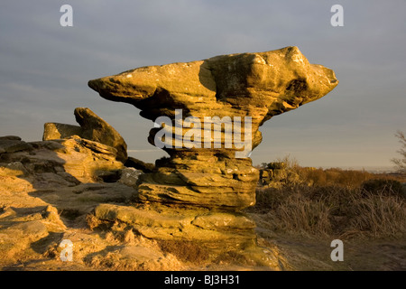 Gli elementi sono scolpiti strani formazioni in la graniglia di macina a Brimham Rocks in Nidderdale, North Yorkshire Foto Stock