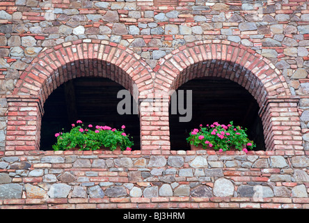 Begonia fiori sul muro di castello. Castello di Amorosa. Napa Valley, California. Proprietà relased Foto Stock