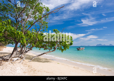 Spiaggia di sabbia, Ko Hai o Koh Ngai island, Trang, Thailandia, Asia Foto Stock