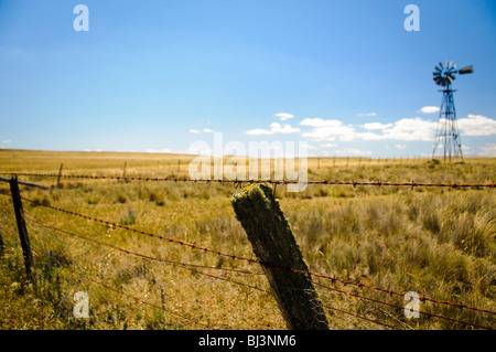 MONARO, Australia: L'ampio paesaggio rurale della regione di Monaro si sviluppa lungo la Monaro Highway. Ondulate colline ricoperte di erba dorata si estendono fino all'orizzonte, punteggiate da alberi di gomma sparsi, che esemplificano l'austera bellezza dell'alto paese del nuovo Galles del Sud. Foto Stock