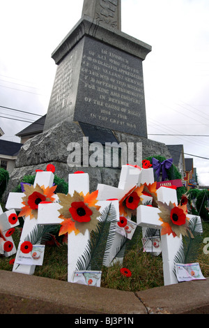 Papaveri e attraversa prevista in corrispondenza di un cenotafio sul Giorno del Ricordo in Canada Foto Stock