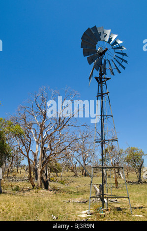Windmill Rural New South Wales Australia | MONARO, New South Wales - Una pompa a vento in acciaio si innalza sopra un pascolo asciutto punteggiato da alberi di gomma intemprati sul tabellone di Monaro. Il rotore circolare aziona un'asta alternata che aspira le acque sotterranee dai fori profondi, una tecnologia che ha permesso alle aziende agricole australiane di estendere l'allevamento di ovini e bovini in paesi in cui le acque superficiali falliscono regolarmente. Foto Stock