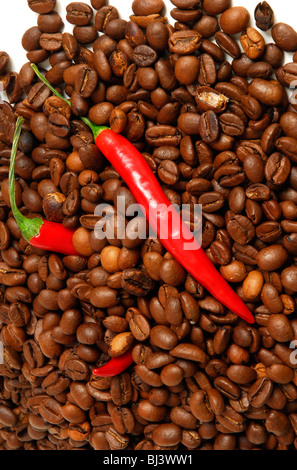 Peperoncini ripieni con i chicchi di caffè Foto Stock