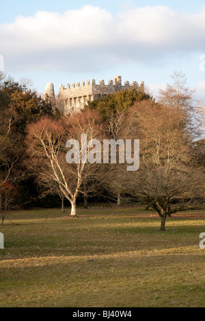 Blarney Castle e motivi nella contea di Cork in Irlanda Foto Stock