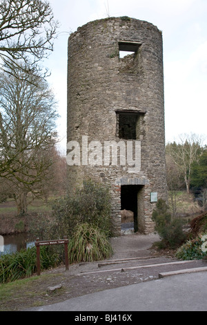 Round Tower Blarney Castle Irlanda Foto Stock