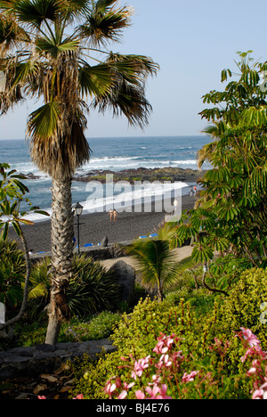 Spagna Isole Canarie Tenerife Puerto de la Cruz, Playa Jardin Foto Stock