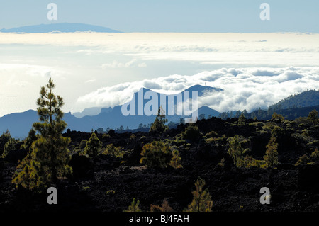 Spagna Isole Canarie Tenerife Teide National Park, vista sul mare di nubi del commercio vento Foto Stock