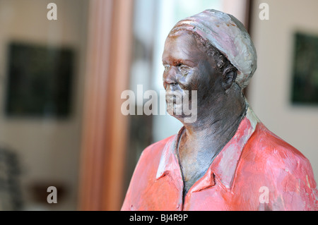 - La figura, Stellenbosch, Provincia del Capo, in Sud Africa e Africa Foto Stock