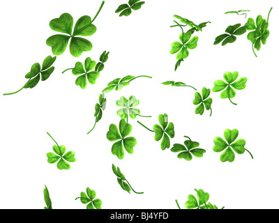 3D illustrazione di caduta shamrock lascia San Patrizio simbolo isolato su sfondo bianco Foto Stock