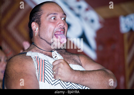 Una performance Maori intrattiene gli ospiti a Treetops Lodge vicino a Rotorua Nuova Zelanda Foto Stock