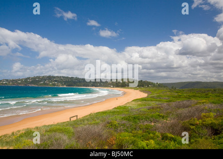 Palm Beach Sydney dal promontorio di Barrenjoey guardando a sud lungo la Palm Beach di Sydney, New South wales, Australia Foto Stock