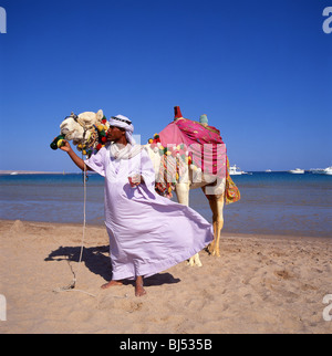 Driver di cammello con cammello sulla spiaggia, Hurghada, Mar Rosso Governatorato, Repubblica di Egitto Foto Stock