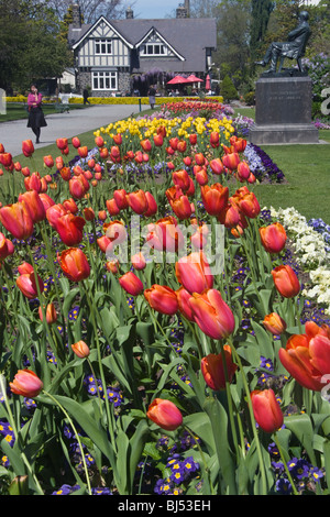 Un letto di fioritura tulipani e i curatori Cottage, Christchurch Giardini Botanici, Nuova Zelanda Foto Stock