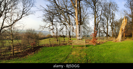 Un banco in un giardino di campagna Foto Stock