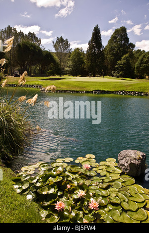 Wairakei International Golf Course si trova a cinque minuti di auto da Huka Lodge Taupo, Nuova Zelanda Foto Stock