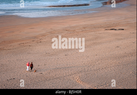 Giovane cane a piedi, Ballybunnion beach County Kerry Irlanda Foto Stock