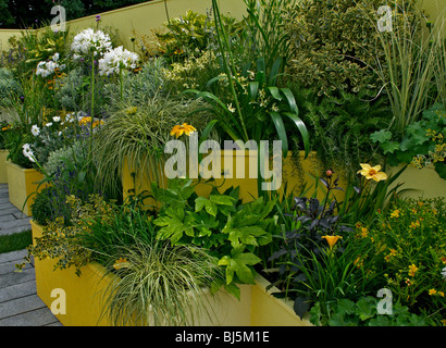 Un colorato stile contemporaneo ufficio cortile giardino piantati con contenitori costruiti tnto il surround Foto Stock