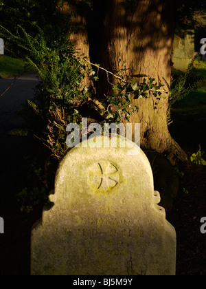 Le lapidi illuminata dal sole in un cimitero del paese Foto Stock