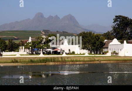 Vergenoegd Wine Estate a Faure vicino a Stellenbosch nella Western Cape Sud Africa la Helderberg Mountain e vigneti Foto Stock