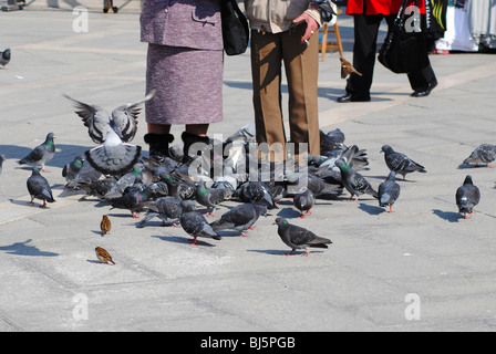 Turisti e Piccioni in Piazza San Marco, Venezia Italia Foto Stock