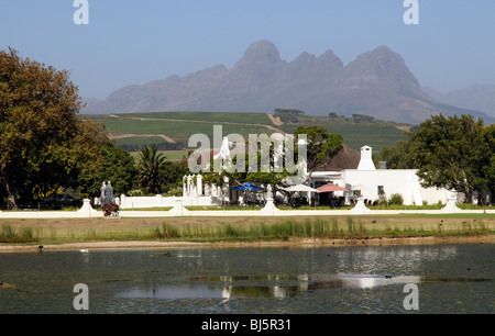 Vergenoegd Wine Estate a Faure vicino a Stellenbosch nella Western Cape Sud Africa la Helderberg Mountain e vigneti Foto Stock