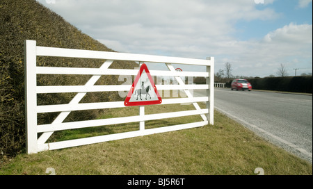 Attenzione dei cavalli cartello stradale all'entrata di Newmarket, Suffolk, Regno Unito Foto Stock