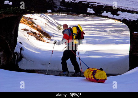 Backcountry rider al Tunnel Log, Foresta Gigante, Sequoia National Park, California Foto Stock