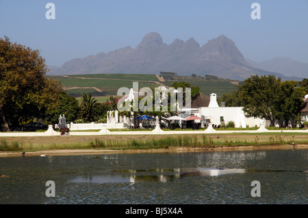 Vergenoegd Wine Estate a Faure vicino a Stellenbosch nella Western Cape Sud Africa la Helderberg Mountain e vigneti Foto Stock