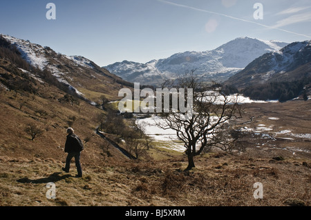 Woman Hiking round Blea Tarn, Lingmoor cadde. Foto Stock