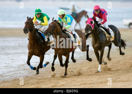 I cavalli purosangue durante una gara su una spiaggia, Cadiz, Spagna Foto Stock