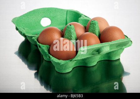 Sei uova di colore marrone in una verde una scatola di cartone in metallo spazzolato la superficie Foto Stock