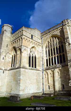 Finestre gotiche, degli antichi, Winchester Cathedral e Winchester Hampshire, Inghilterra, Regno Unito, GB Foto Stock