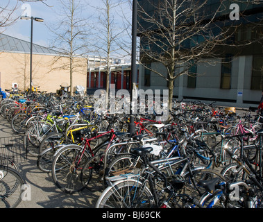 Righe di biciclette parcheggiate fuori Said Business School, parte dell'Università di Oxford Foto Stock