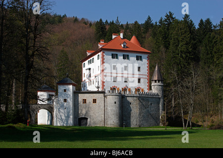 Il castello di Sneznik,xiii secolo,regione Notranjska,Slovenia Foto Stock