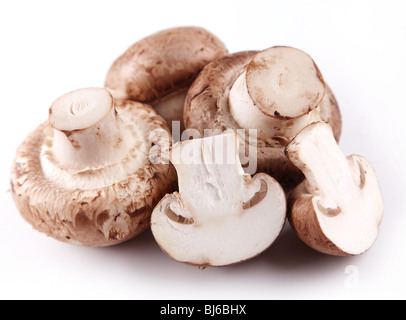 Funghi champignon reale su sfondo bianco Foto Stock