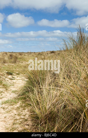 Regno Unito, Inghilterra, Norfolk, Winterton sulla spiaggia del mare, le dune di sabbia Foto Stock