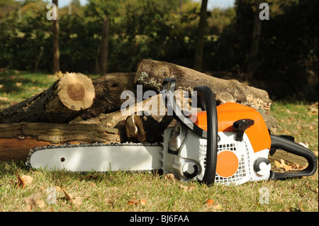 Chainsaw fotografata davanti dei registri Foto Stock