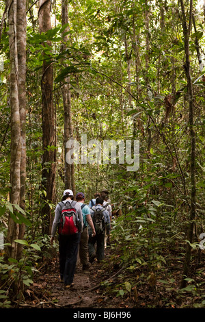 Indonesia Sulawesi, Funzionamento Wallacea, sesta forma studenti camminare attraverso la foresta sul sentiero fangoso Foto Stock