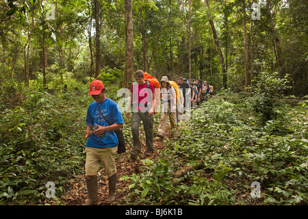 Indonesia Sulawesi, Funzionamento Wallacea, sesta forma gli studenti nella foresta pluviale di partenza a piedi alla frangia di foresta Foto Stock