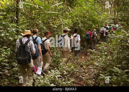 Indonesia Sulawesi, Funzionamento Wallacea, sesta forma studenti, passeggiate attraverso la foresta sul sentiero fangoso Foto Stock