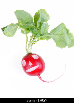 Red rafano fresco con un sorriso di close-up su sfondo bianco Foto Stock
