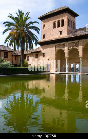 Granada, Andalusia, Spagna. La Torre de Las Damas riflessa nella piscina, Jardines del Partal, l'Alhambra. Foto Stock