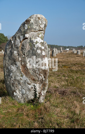 Alignements du Menec, pietre permanente a Carnac nel Morbihan ( Brittany, Francia, Europa) Foto Stock