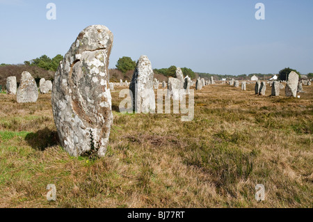 Alignements du Menec, pietre permanente a Carnac nel Morbihan ( Brittany, Francia, Europa) Foto Stock