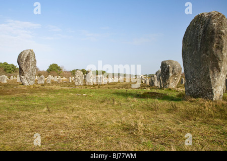 Alignements du Menec, pietre permanente a Carnac nel Morbihan ( Brittany, Francia, Europa) Foto Stock