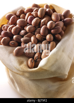 Fagioli rossi interi secchi di triglia, fagioli di barbunya, fagioli borlotti, fagioli di mirtillo, fagioli romani, fagioli romani - primo piano in un sacchetto Foto Stock