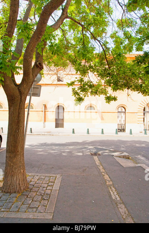 Strada tranquilla e vegetazione lussureggiante ad Aix-en-Provence Foto Stock