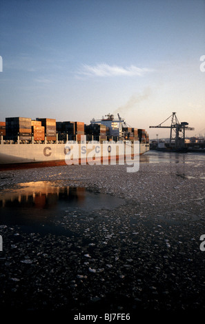 Feb 16, 2010 - COSCO Oceano Indiano essendo ruotata per lo scarico a Tollerort terminale per container nel porto tedesco di Amburgo. Foto Stock